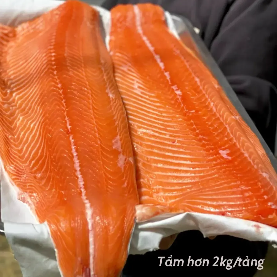 Cá hồi Nauy nguyên tảng