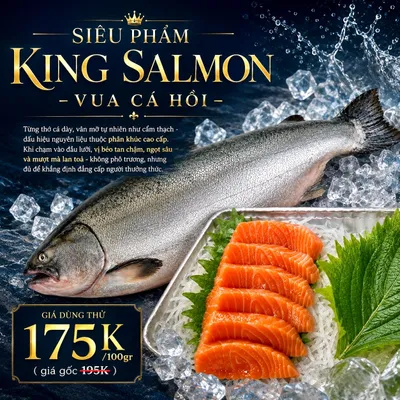 King Salmon - 👑 Vua cá hồi ⚡️ Siêu Phẩm